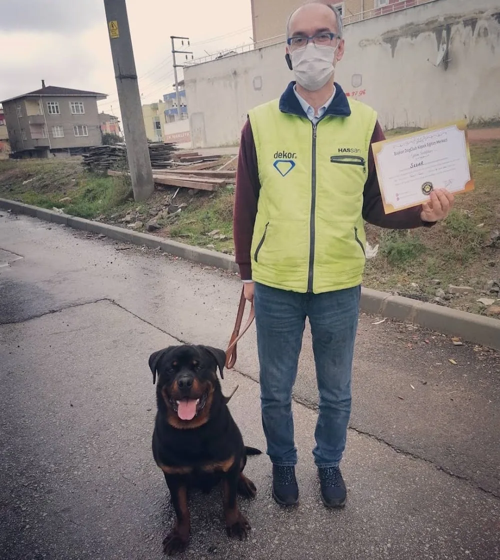 Başkan K9 Gebze Köpek OTELİ KÖPEK EĞİTİMİ - Kocaeli pet otel görseli 3