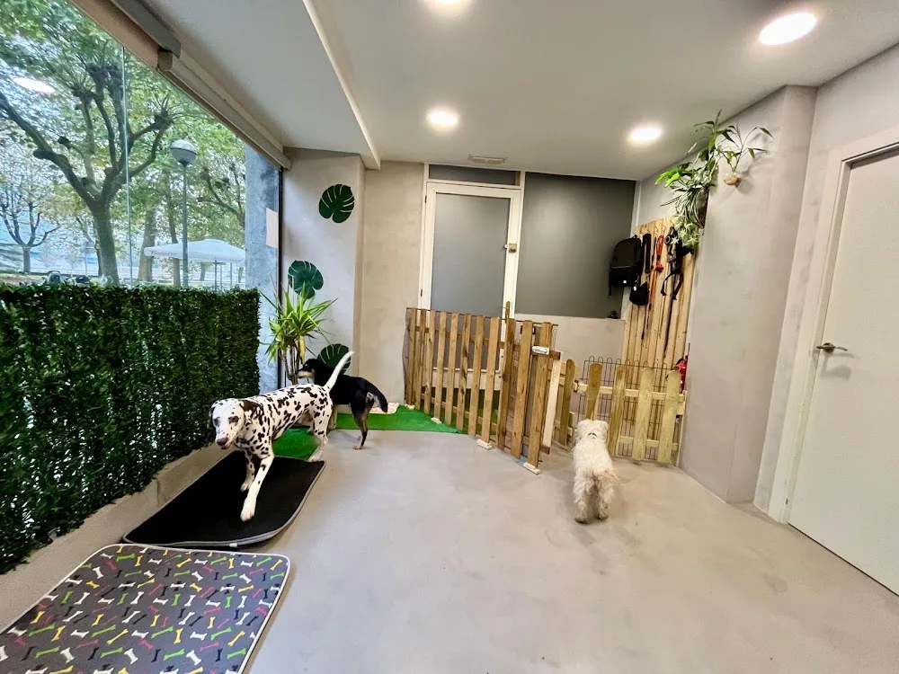 Hotel Canino PEEK | Guardería Residencia - Basque Country pet otel