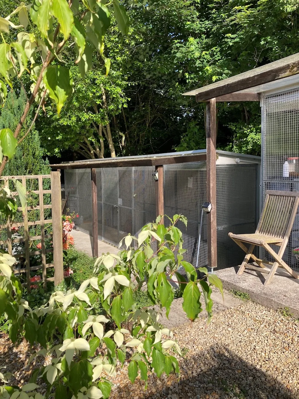 Camerton Cattery - Bath and North East Somerset pet otel görseli 3