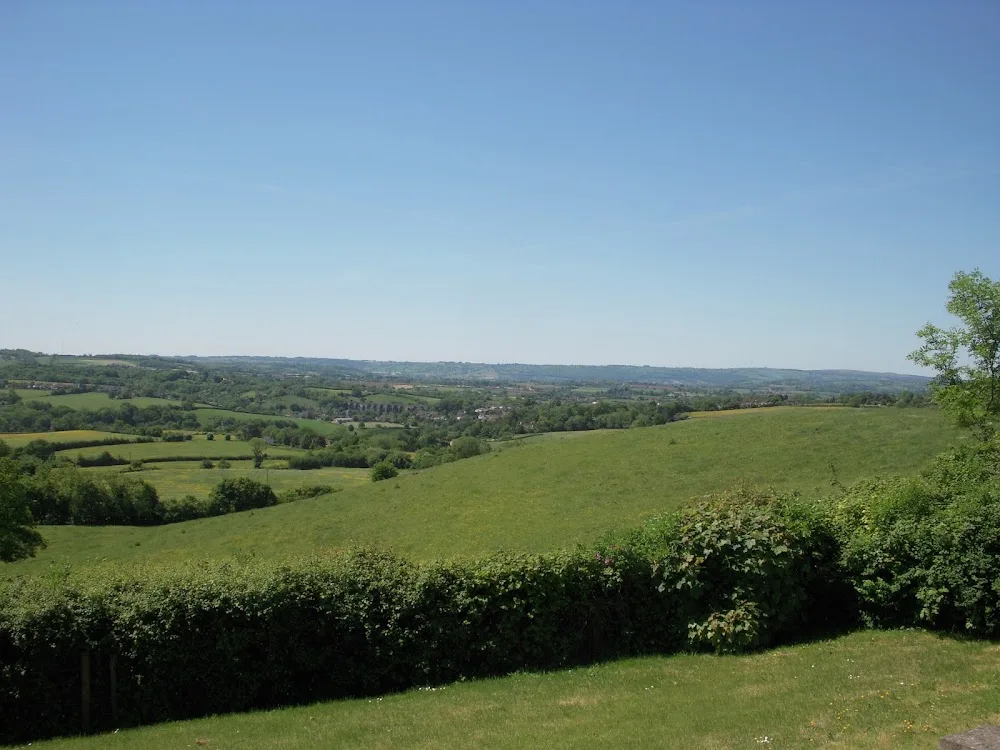 Cleracres Cattery Ltd - Bath and North East Somerset pet otel