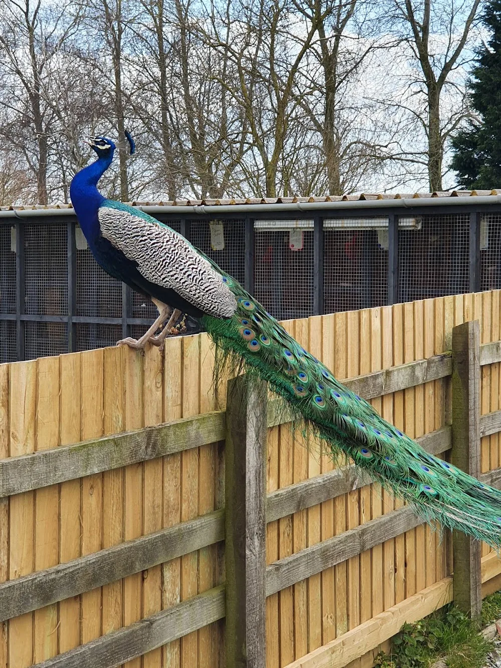 Collum Farm Kennels and cattery - Bath and North East Somerset pet otel