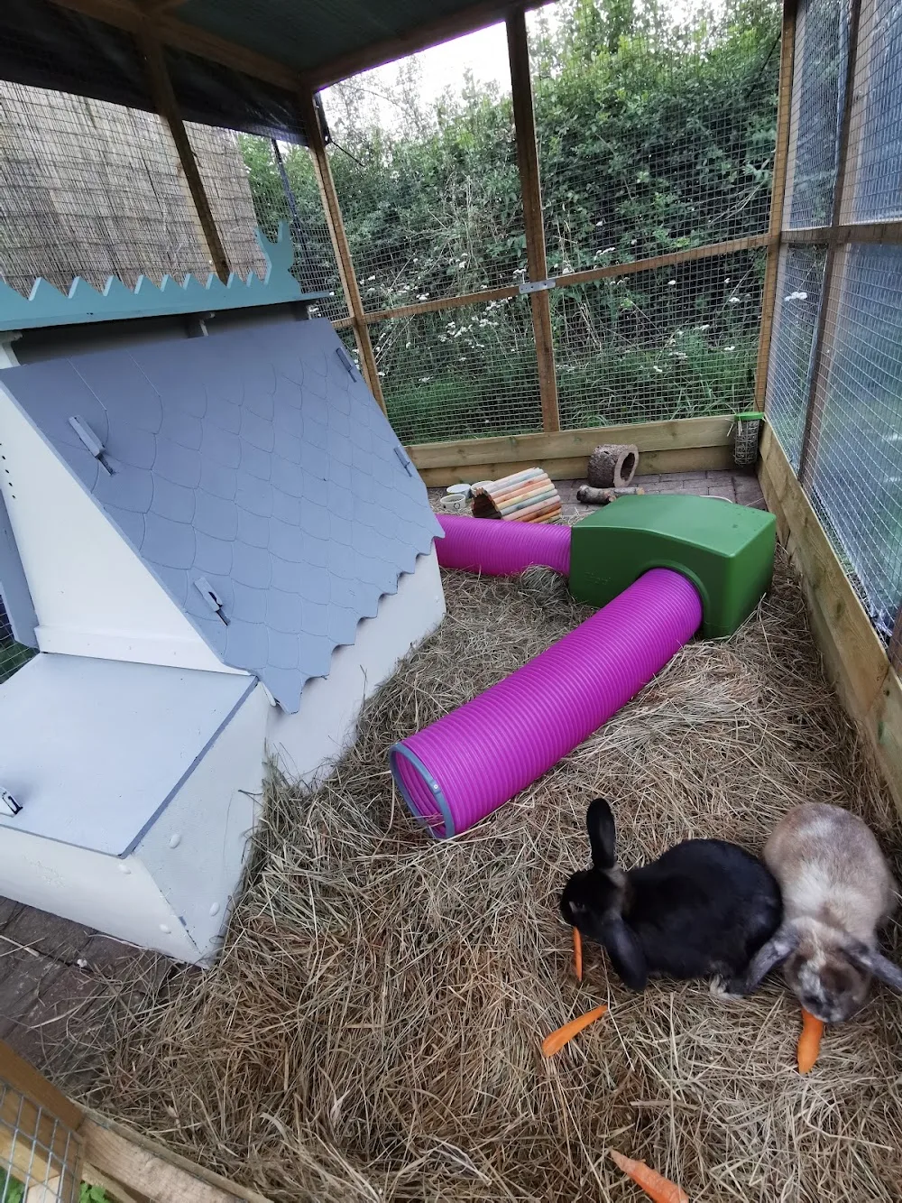 Pip's Pods - Bath and North East Somerset pet otel görseli 3
