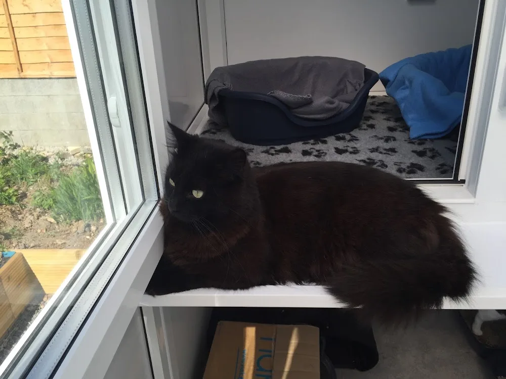 Purrfect Stay Cattery - Bath and North East Somerset pet otel görseli 3