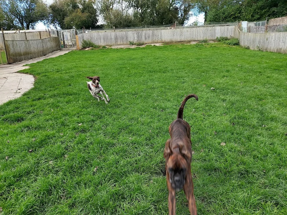 Woodborough Gardens Kennels & Catteries - Bath and North East Somerset pet otel görseli 2