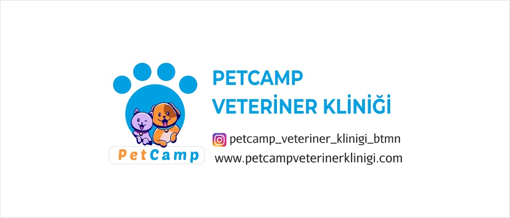 PetCamp Veteriner Kliniği BATMAN - Batman pet otel