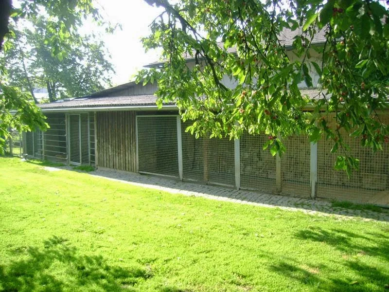 Hunde und Katzenpension Lanzl - Bavaria pet otel