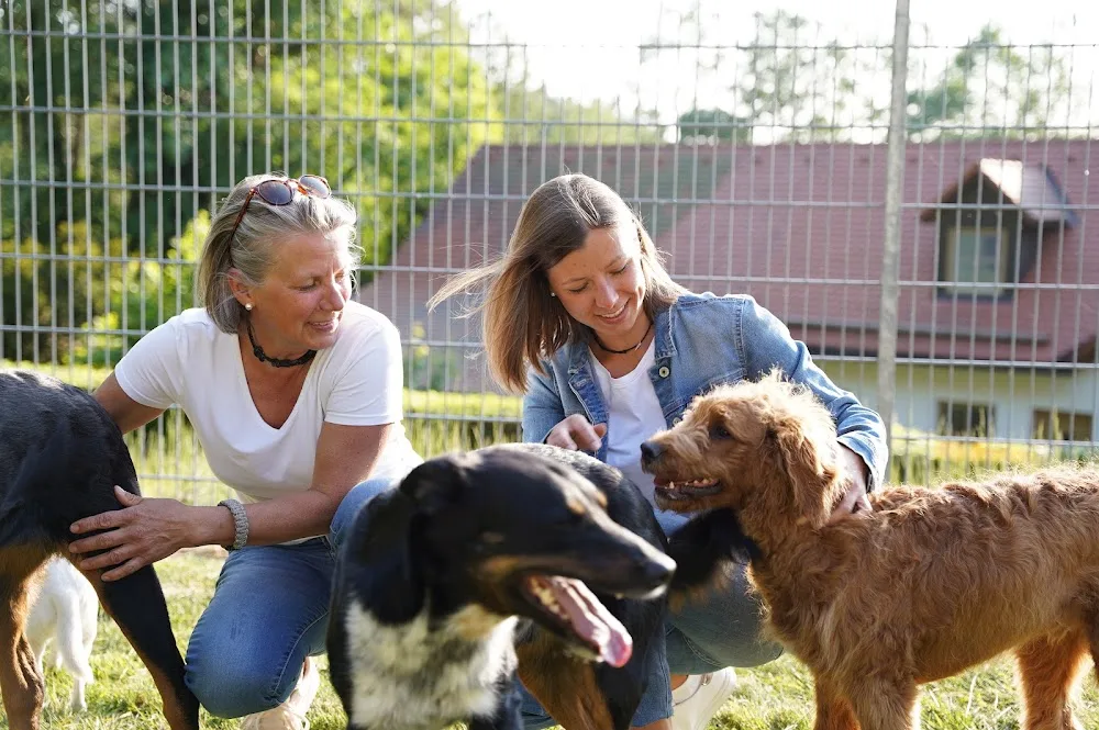 Hundehotel Herrnmühle - Bavaria pet otel