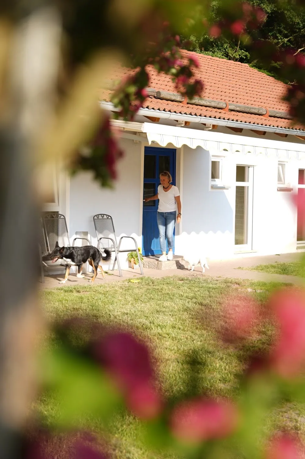 Hundehotel Herrnmühle - Bavaria pet otel görseli 3