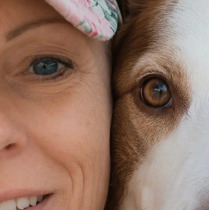 Hundehotel Herrnmühle - Bavaria pet otel görseli 4