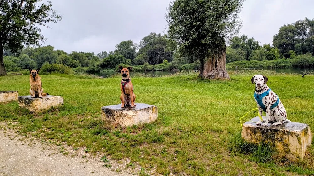 HUNDsBLICK - Bavaria pet otel