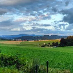 HuTaTu Hundetagesstätte Tunkl - Bavaria pet otel görseli 5