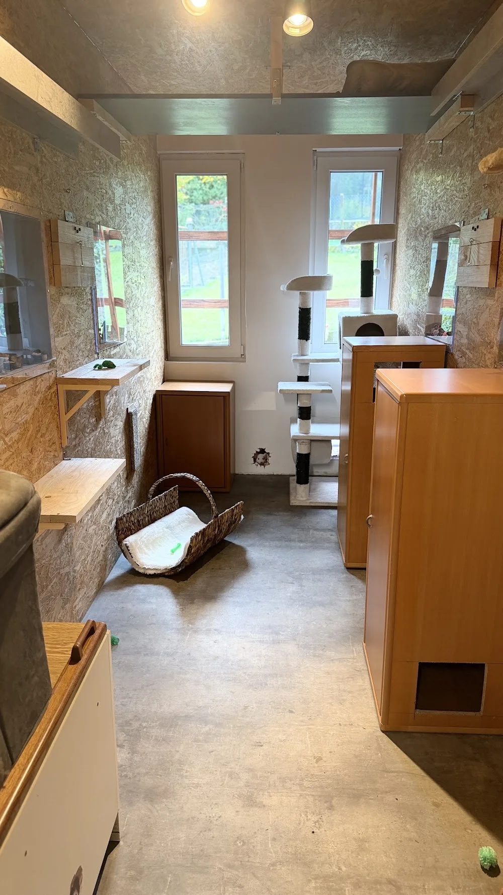Katzenhotel Mausehund - Bavaria pet otel görseli 2