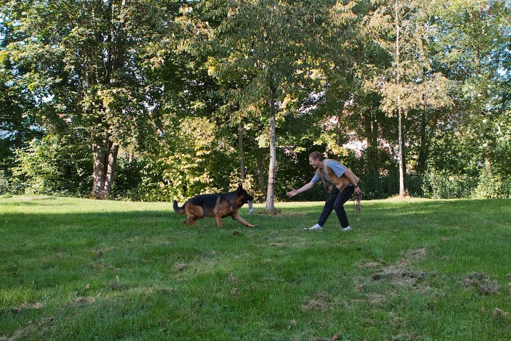 Max Pallmer Hundebetreuung - Bavaria pet otel görseli 3