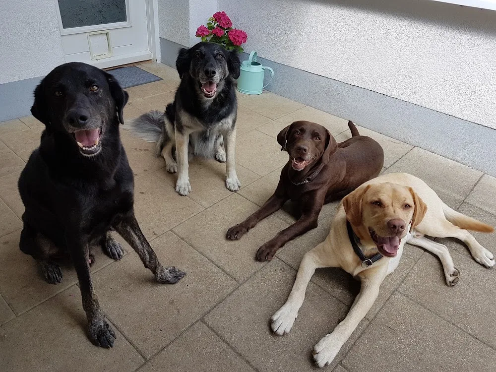 Queen's Hundepension - Bavaria pet otel