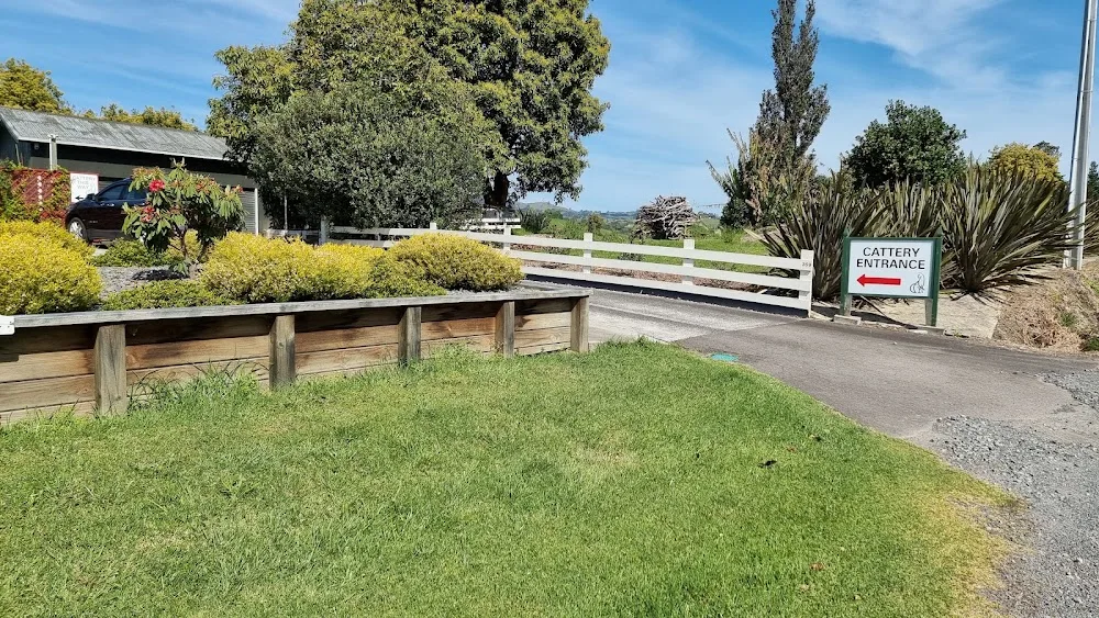 A Cat's World Boarding Cattery - Bay of Plenty pet otel