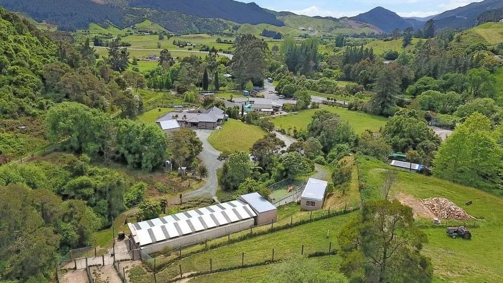 Abbeyblyth Animal Boarding - Bay of Plenty pet otel
