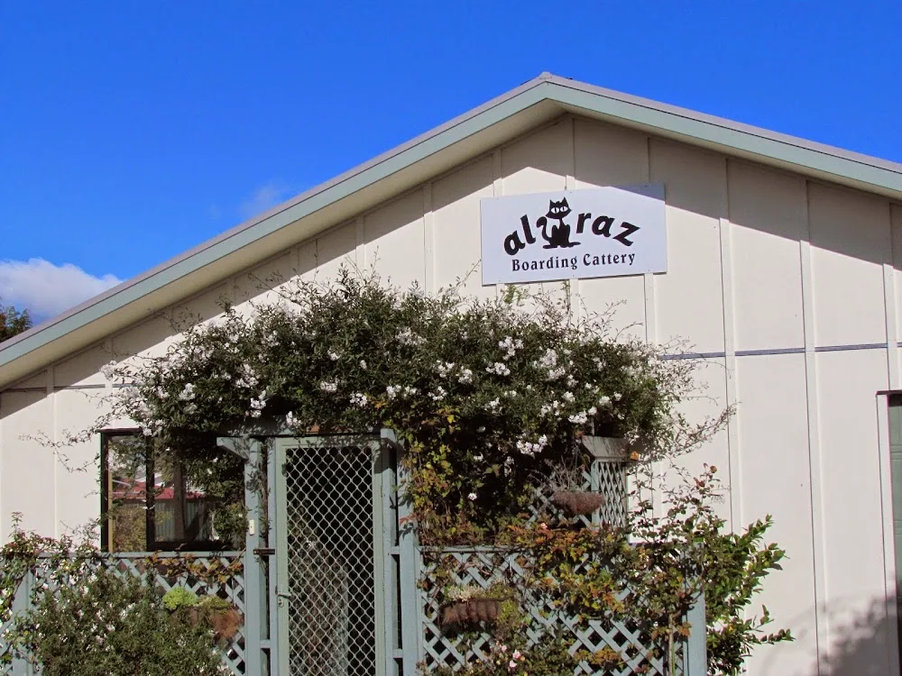Alcatraz Cattery Masterton - Bay of Plenty pet otel görseli 3