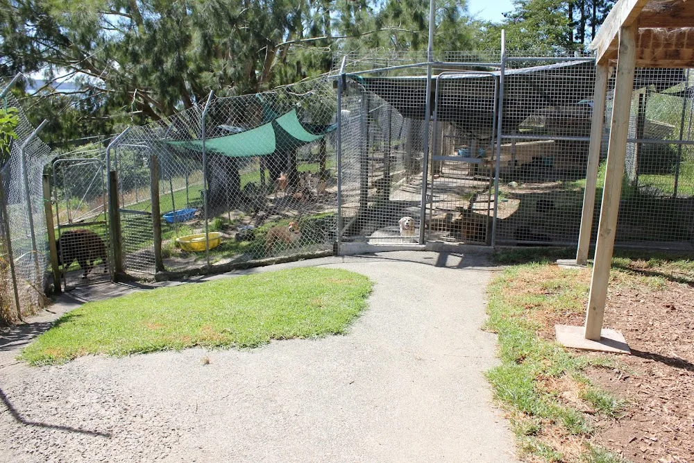 Athenree Pet Lodge - Dog Boarding & Cattery - Bay of Plenty pet otel