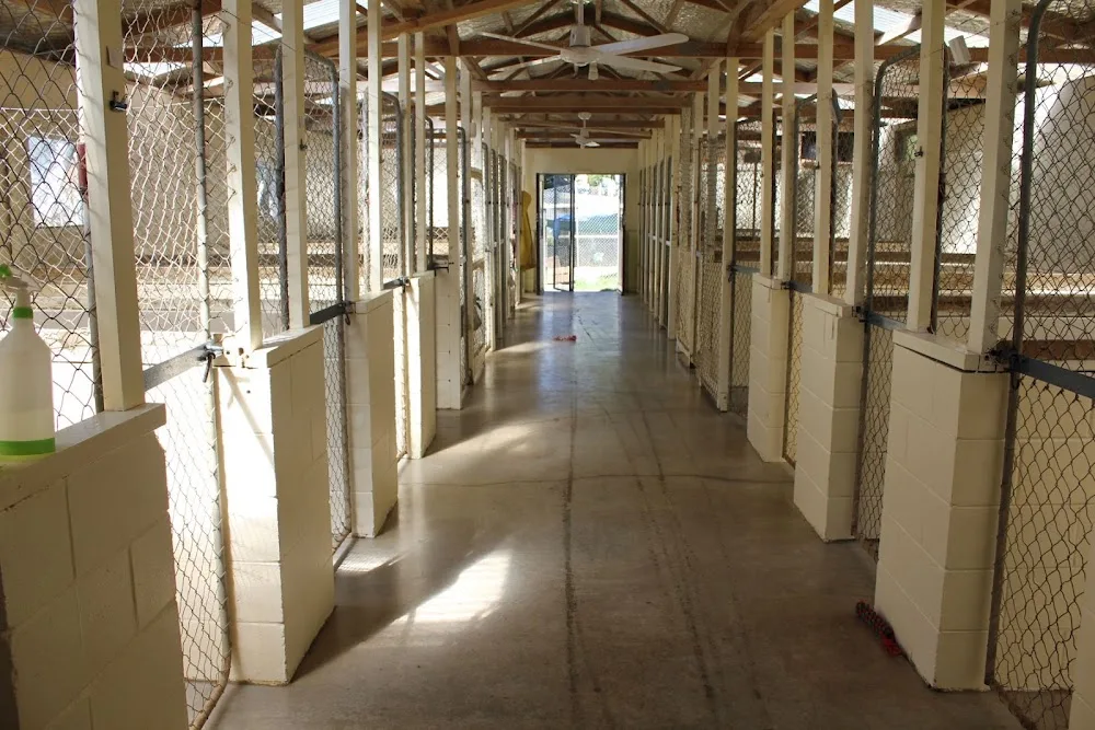 Athenree Pet Lodge - Dog Boarding & Cattery - Bay of Plenty pet otel görseli 3
