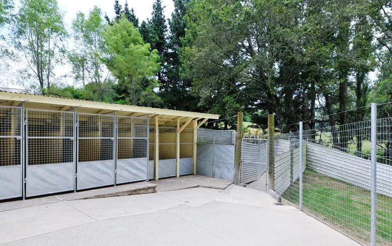 Bimlers Kennel & Cattery - Bay of Plenty pet otel görseli 3