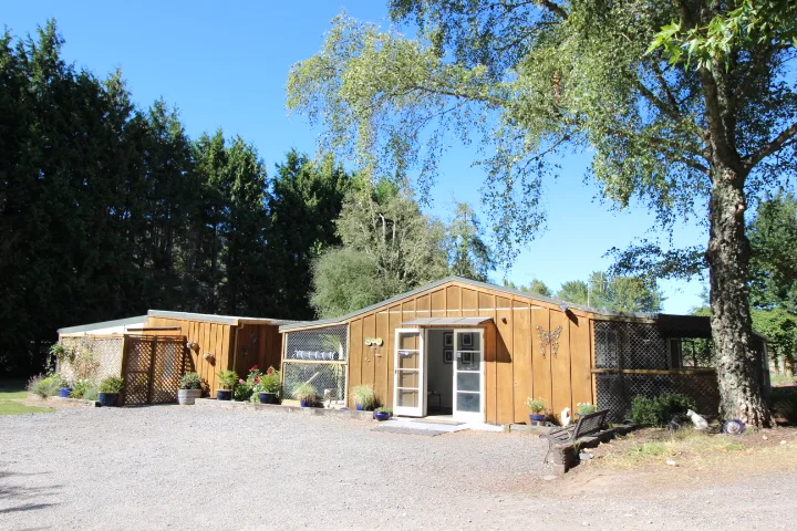 Centennial Park Kennels & Cattery - Bay of Plenty pet otel