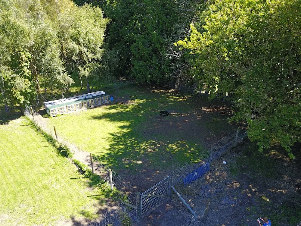 Centennial Park Kennels & Cattery - Bay of Plenty pet otel görseli 3