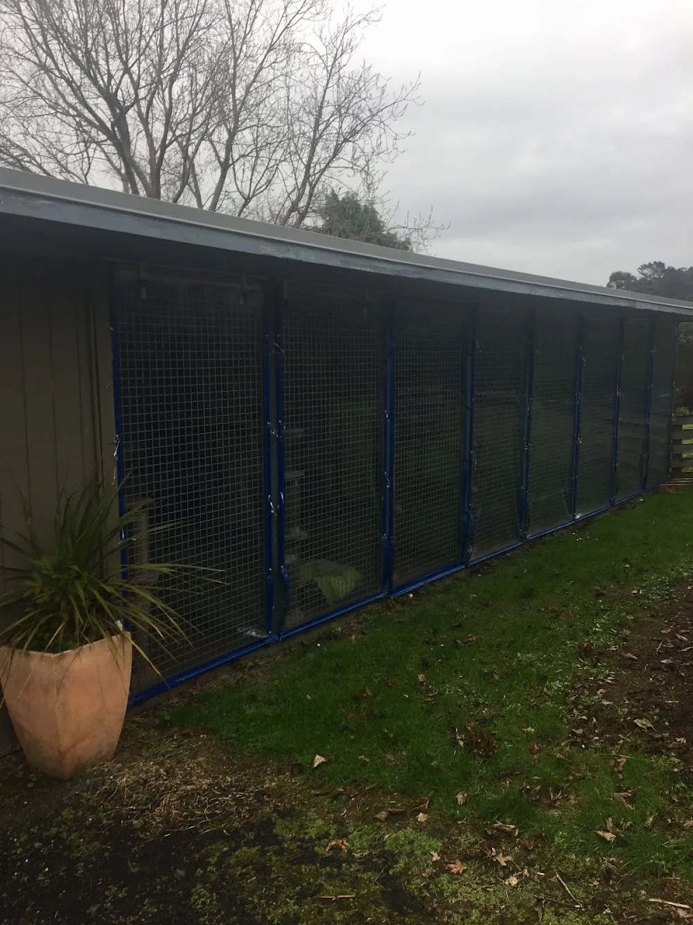 Creature Comforts Cattery - Bay of Plenty pet otel görseli 2