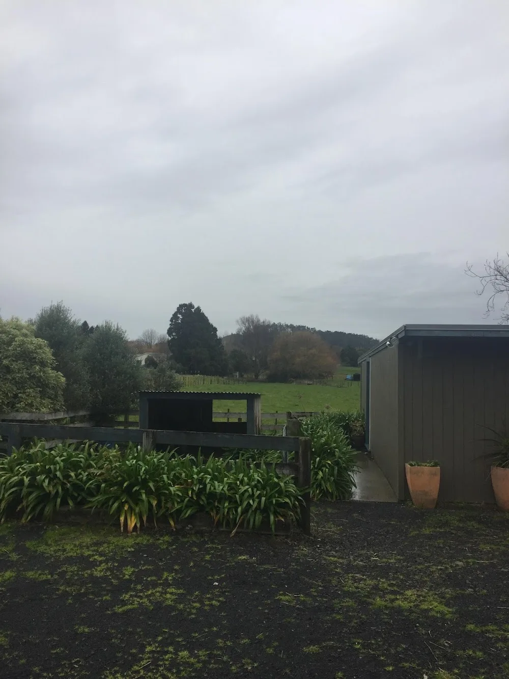 Creature Comforts Cattery - Bay of Plenty pet otel görseli 3