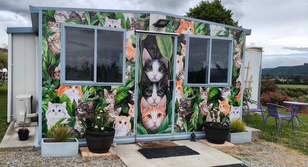 Elite Cat Boarding - Bay of Plenty pet otel