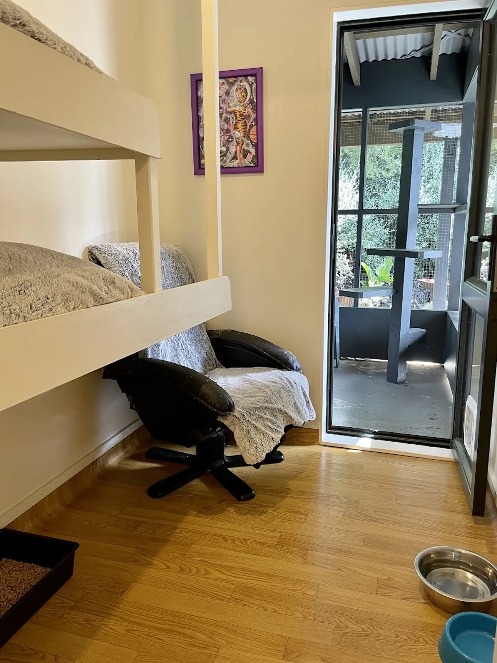 Kapiti Boutique Cattery - Bay of Plenty pet otel