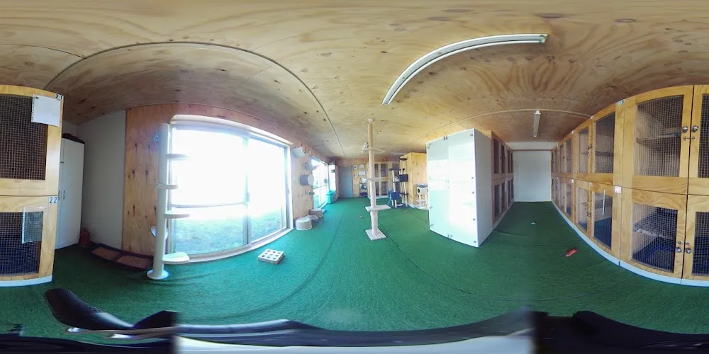 Kapiti PetVilla Cattery & Kennel - Bay of Plenty pet otel görseli 3