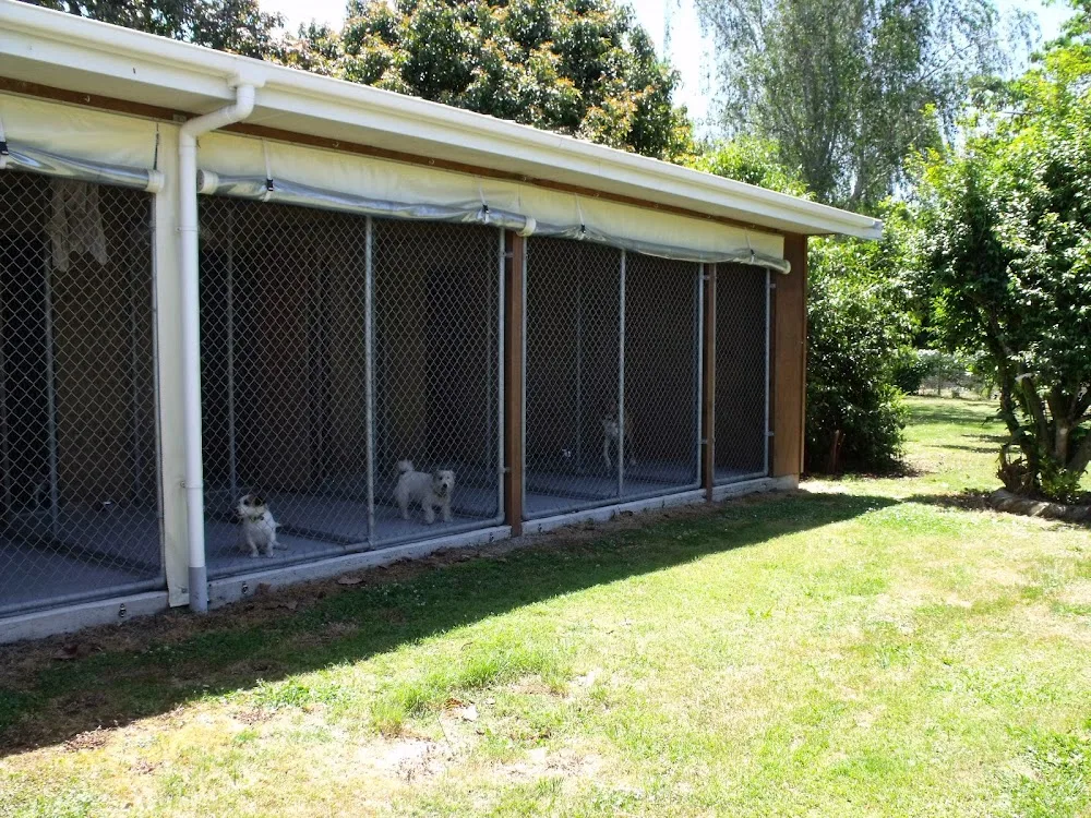 Pawprints Kennels & Cattery - Bay of Plenty pet otel görseli 3
