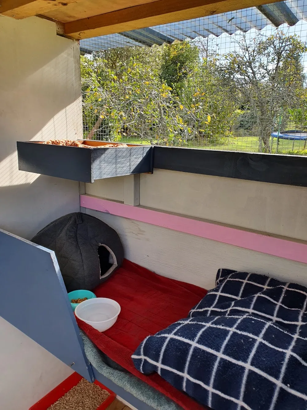 Paws in Te Puna - Bay of Plenty pet otel görseli 3