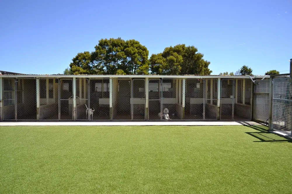 Pet Stay - Bay of Plenty pet otel görseli 3