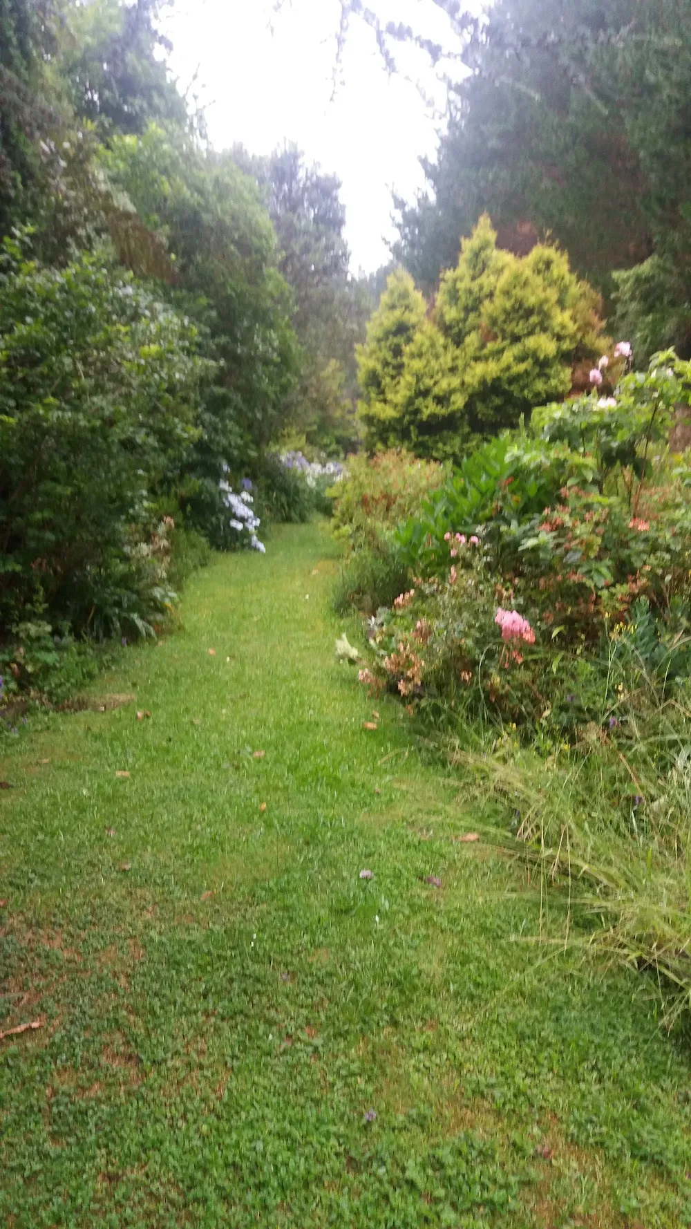 Rainbow Boarding Kennels & Cattery - Bay of Plenty pet otel