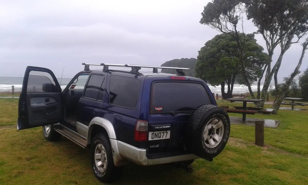 Spot X Boarding Kennels & Cattery - Bay of Plenty pet otel görseli 3