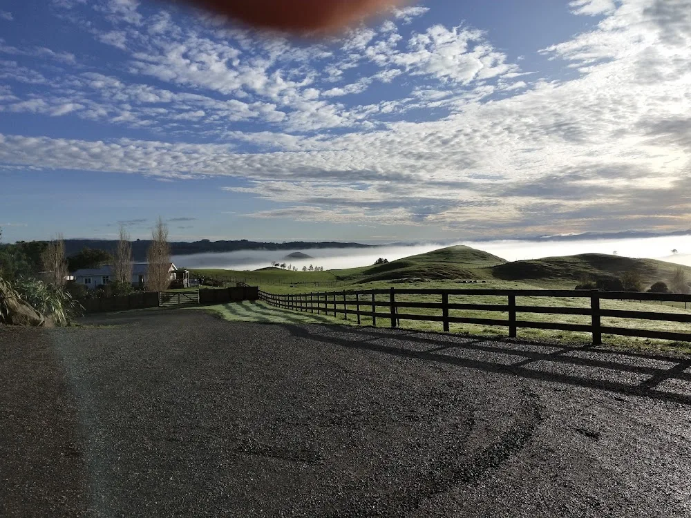 Stoneypeak petlodge Kennels and cattery - Bay of Plenty pet otel görseli 3