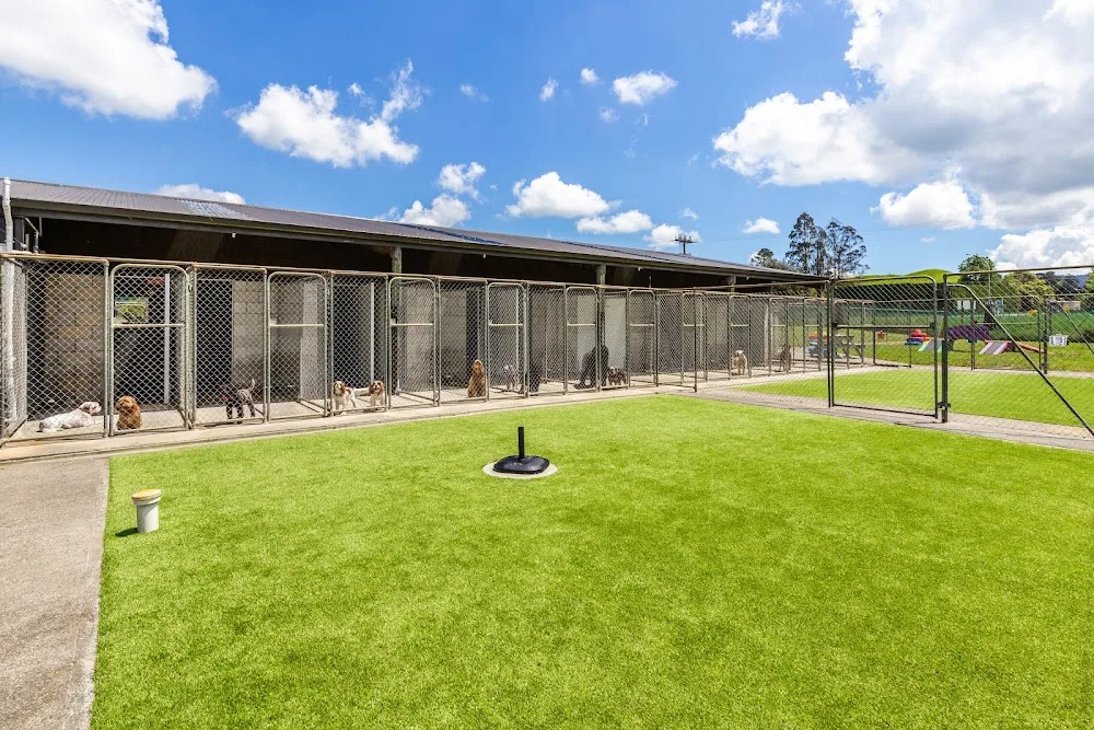 Taupo Pet Lodge Dog Accommodation - Bay of Plenty pet otel görseli 2