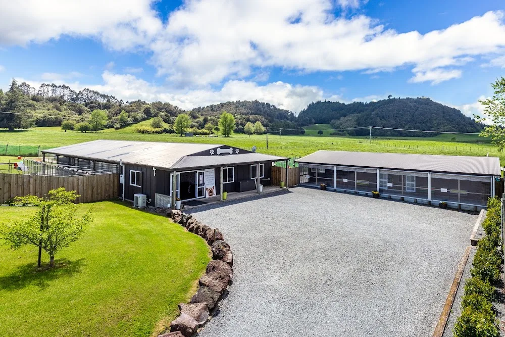 Taupo Pet Lodge Dog Accommodation - Bay of Plenty pet otel görseli 3