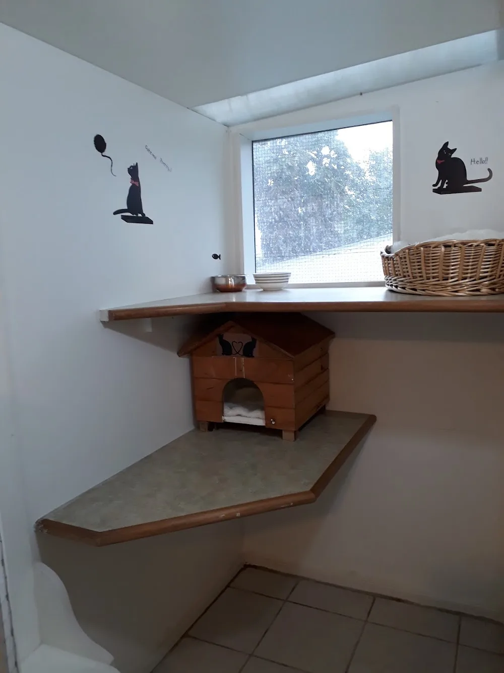 The Big Meow - Bay of Plenty pet otel görseli 3