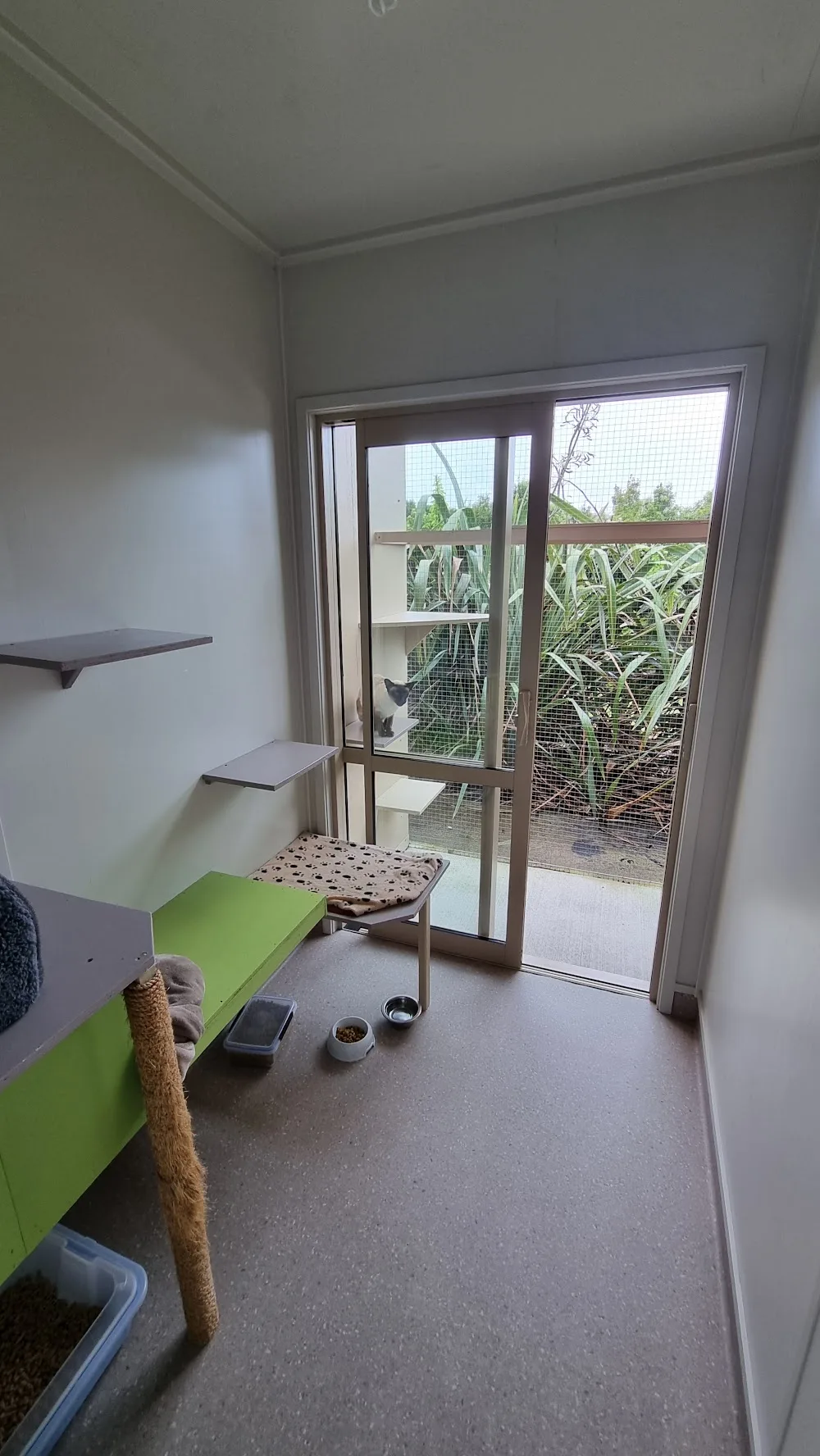 The Cat's Whiskers - Bay of Plenty pet otel