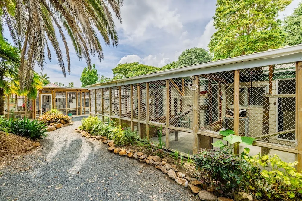 Whiskers & Paws Pussycat Retreat Kerikeri - Bay of Plenty pet otel görseli 2