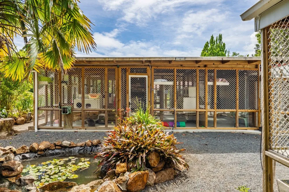Whiskers & Paws Pussycat Retreat Kerikeri - Bay of Plenty pet otel görseli 3