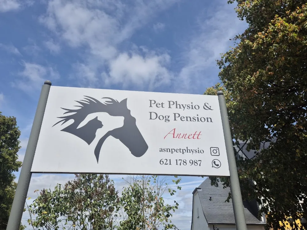 asnpetphysio&dogpension - Luxembourg pet otel görseli 2
