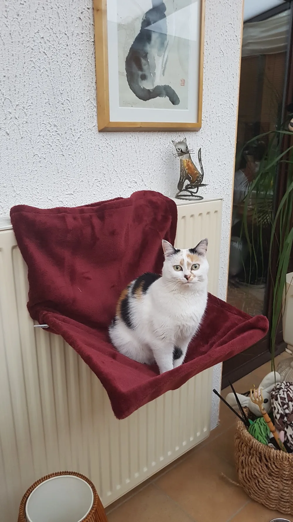 Déierenpension LUNA - Chats et chiens - Luxembourg pet otel görseli 3