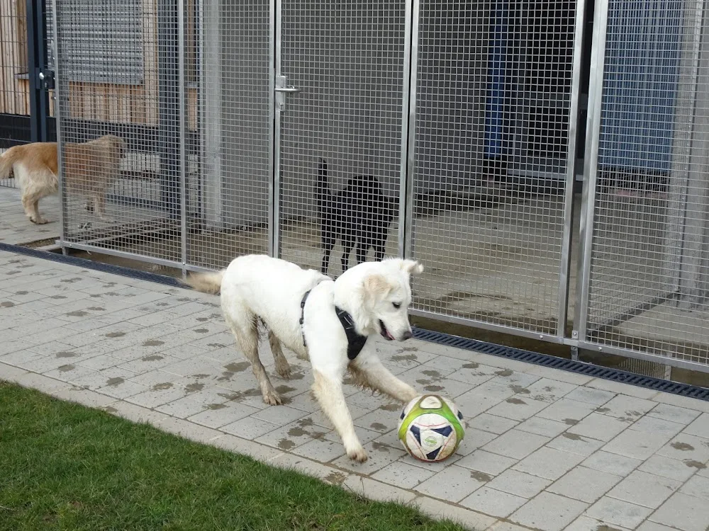 HoKa Lampecher Déierepensioun - Luxembourg pet otel