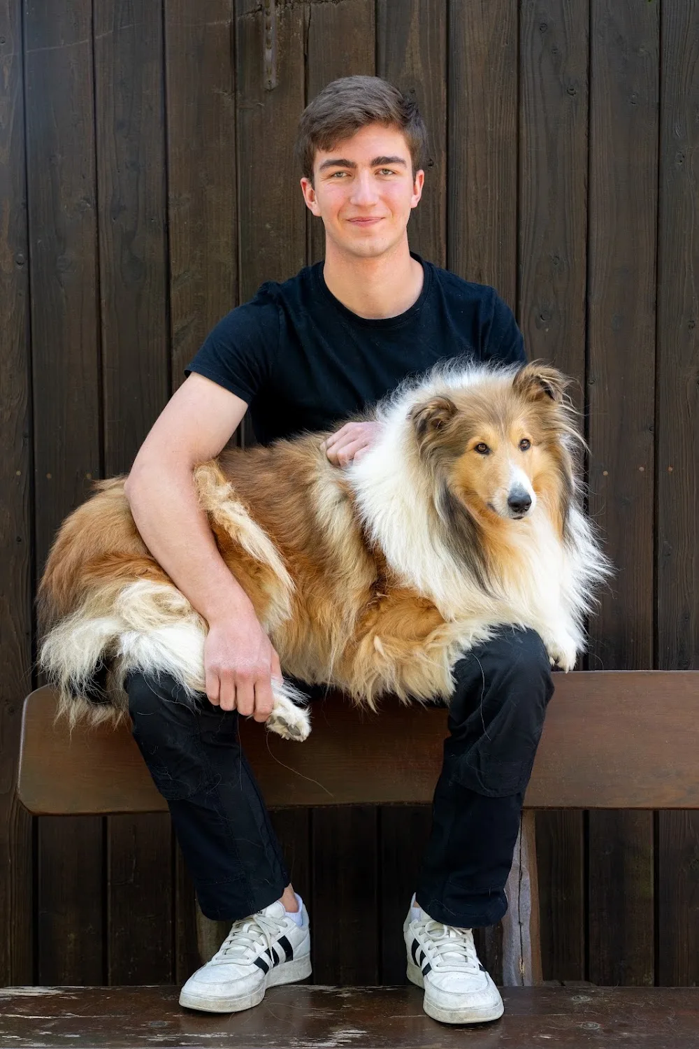 Lassie (Déierepensioun) - Luxembourg pet otel görseli 3