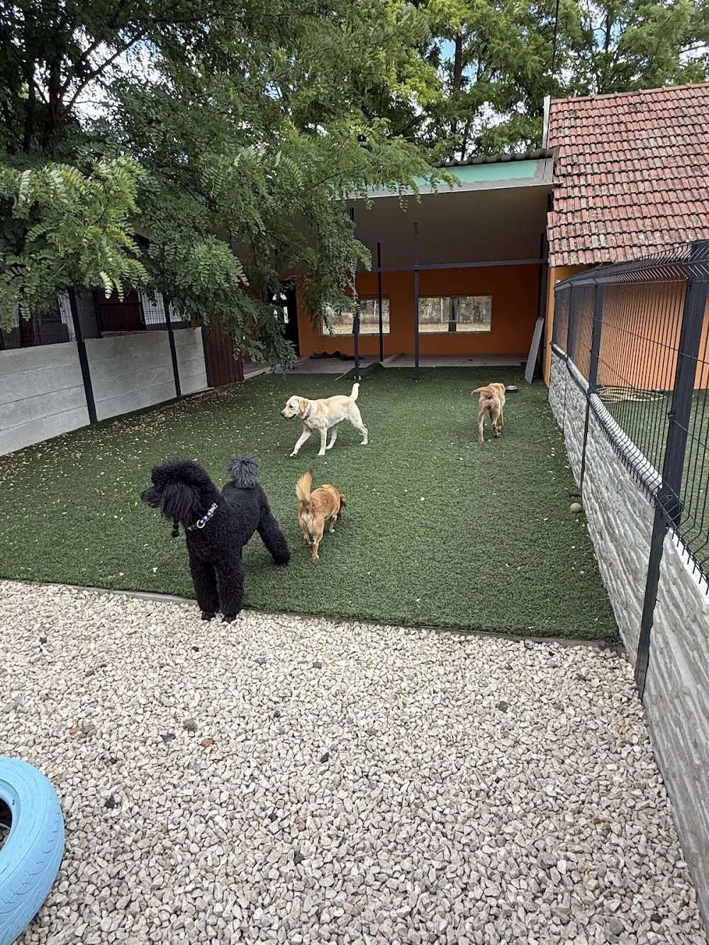 Dogland Kutyasuli és Kisállatpanzió - Békés pet otel