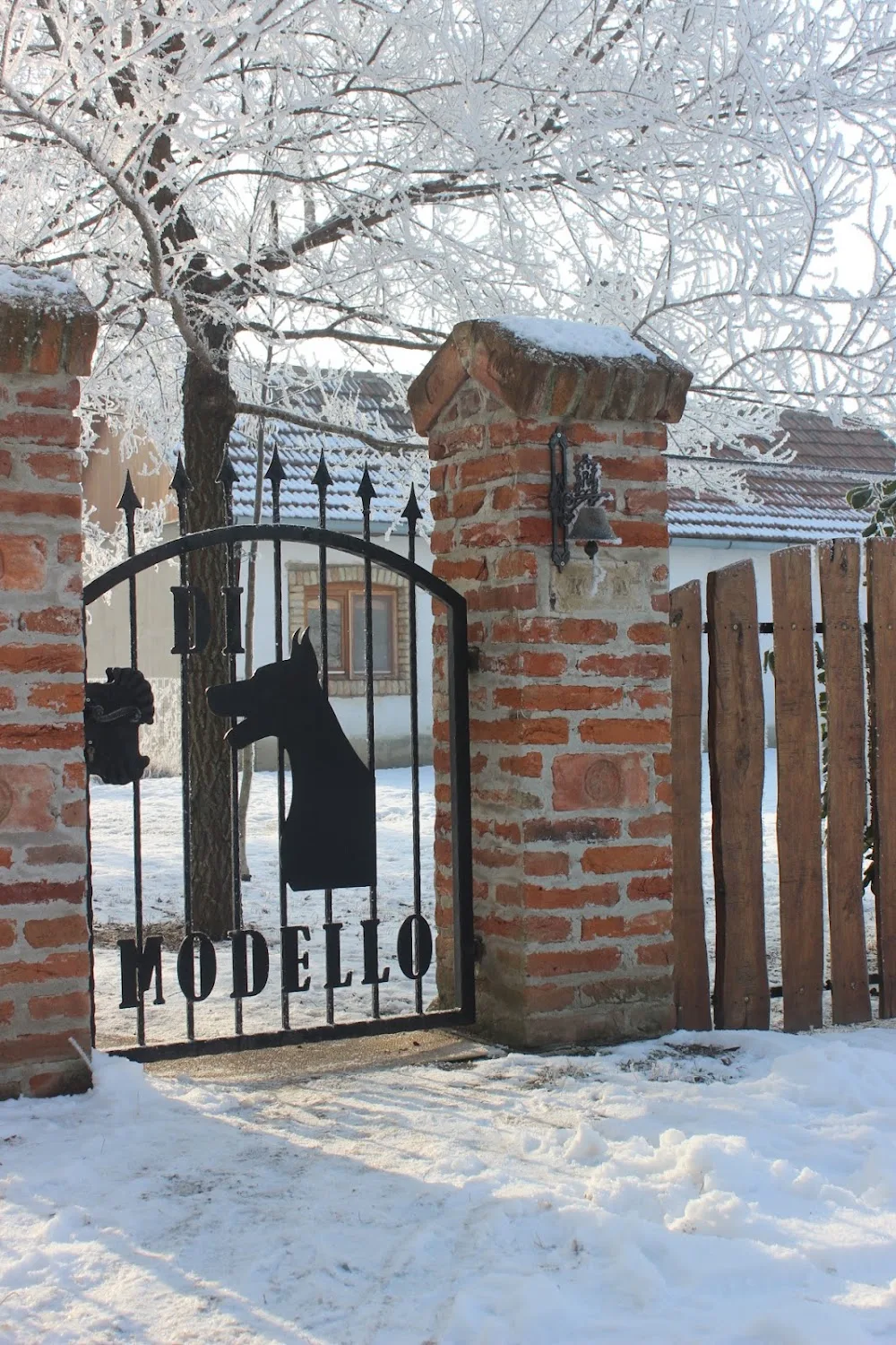 Di Modello Dobermann Kennel - Békéscsaba pet otel