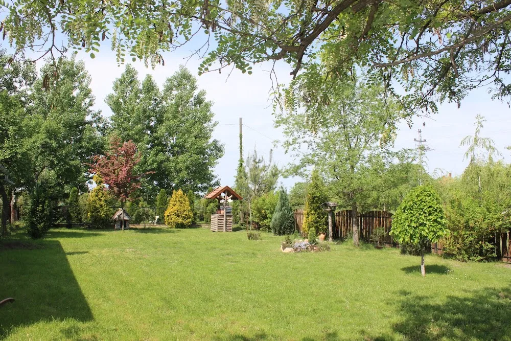 Di Modello Dobermann Kennel - Békéscsaba pet otel görseli 3